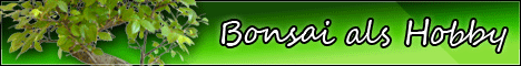 Bonsai Bonsai