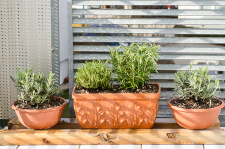 Frühjahr auf dem Balkon