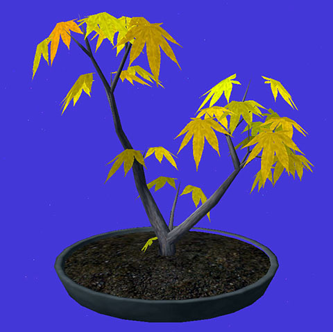 Go Bonsai