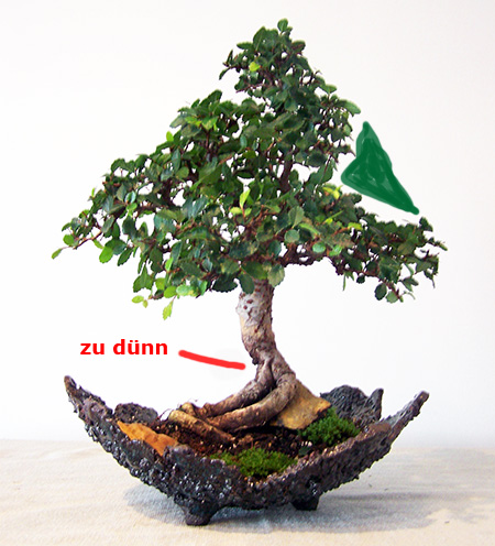 Chinesische Ulme von Ernst Theis Chinesische Ulme von Ernst Theis