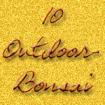 Outdoor-Bonsai Outdoor-Bonsai