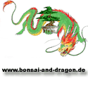 Bonsai and Dragon