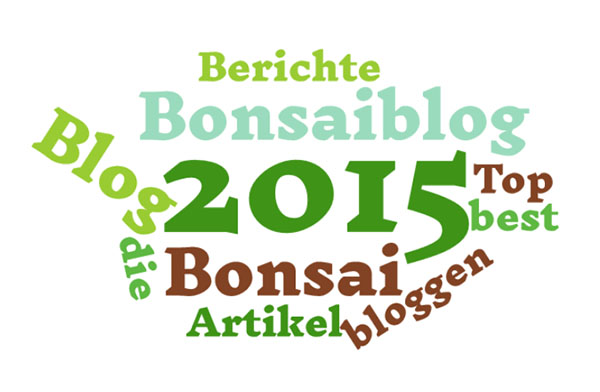 Die 10 besten Artikel über Bonsai 2015