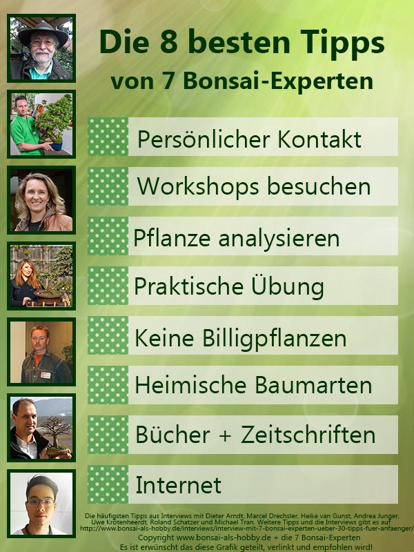 Infografik: Die 8 besten Tipps von 7 Bonsai-Experten