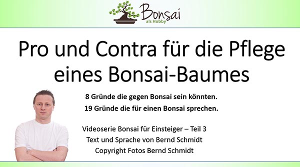 Pro und Contra für die Pflege eines Bonsai-Baumes