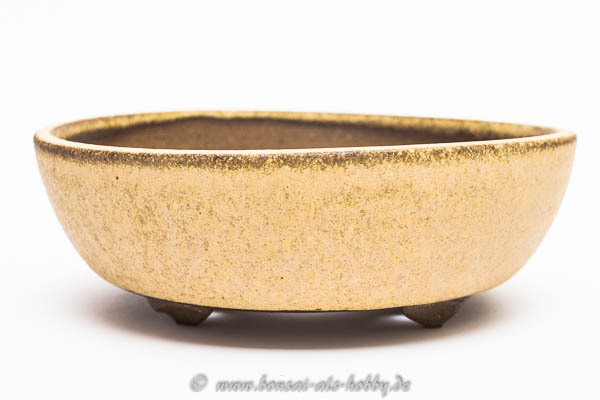 Bonsaischale von Roman Husmann 16,3 cm rund