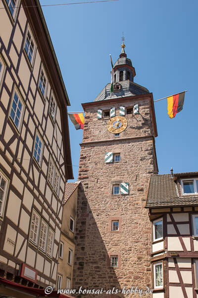 Mainzer Tor in der Marktstrasse in Buchen