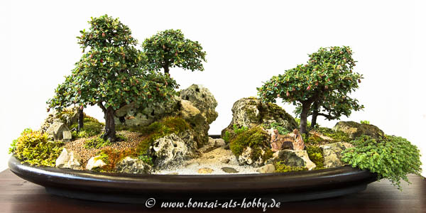 Landschaft mit Zwergmispeln