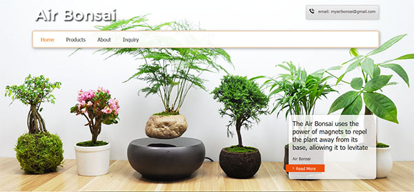 Air Bonsai
