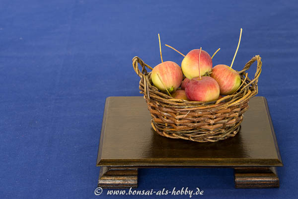 Ein Korb mit Äpfel als Beisteller!