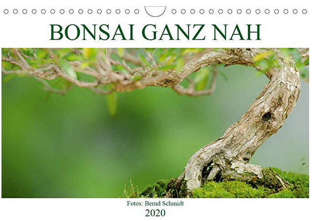 Kalender Bonsai ganz nah