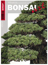 beeteinfassung bambus obi Bambus Beeteinfassung - 180x45 cm main image 1