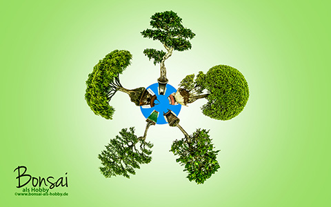 Bonsai Mini Planet zum download als Wallpaper