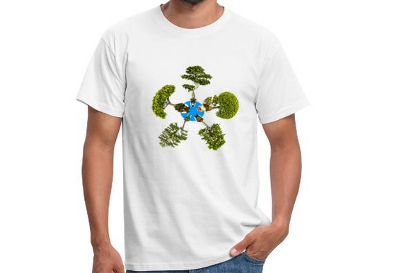 Bonsai Kiefer Tipps Vorschlag für Weihnachten Nikolausgeschenke Wichtelgeschenke 