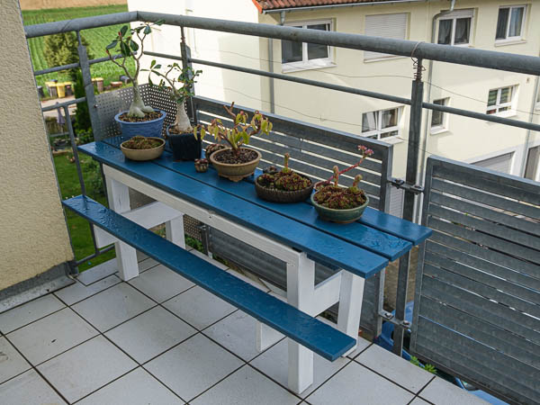 Ein Bonsairegal bekommt neue Farben - Bonsai-Pflege und Gestaltung als Hobby